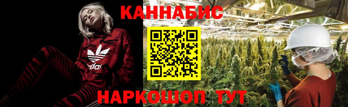 Канабис ГИДРОПОН Фролово